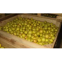 Яблоки оптом от производителя.